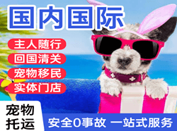 佛山航空快运国际宠物托运 【国